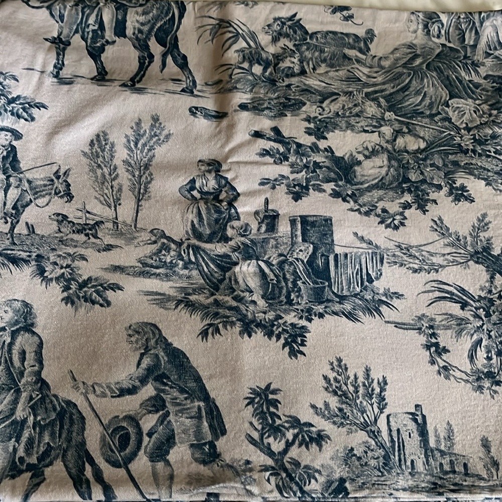 Toile Maison d’ Hermine drapes pair with pillow covers